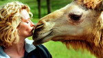 Animal Park: Series 7: 45 minute reversions: Episode 16