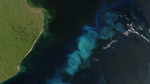 Geoengineering the Climate