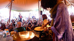 Food Programme: WOMAD