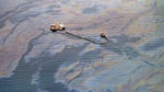 Our World: Alaska - After the Spill