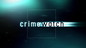 Crimewatch Solved: 2010