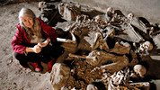 Pompeii: Life and Death in a Roman Town