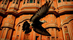 Earthflight: Asia and Australia