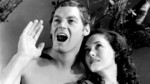 Tarzan: Lord of the Jungle