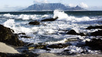 Tidal Talk from the Rock Pool: The Limpet and the Lugworm