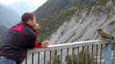 Deadly 60: 8. New Zealand