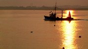 Good Morning Devon: Fri, 06 Nov 2009