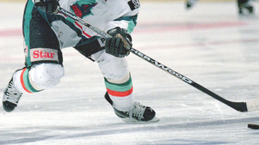 Steelers Hockey: 06/11/2009